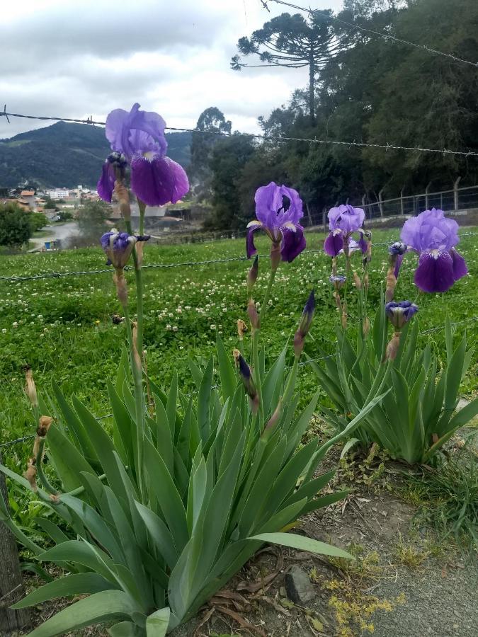 Lodge Manacá Da Serra *