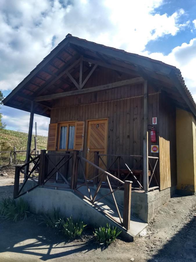Manacá Da Serra *