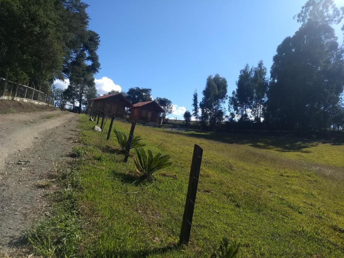 Manacá Da Serra *
